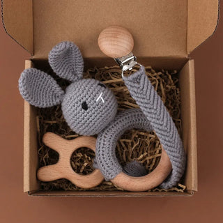 Pacifier Clip Teether Toy Set - RYAN AND REMI