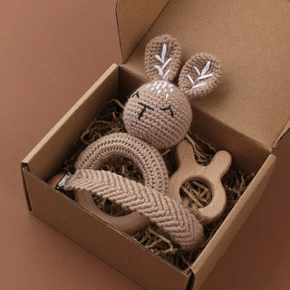 Pacifier Clip Teether Toy Set - RYAN AND REMI