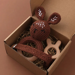 Pacifier Clip Teether Toy Set - RYAN AND REMI