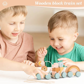 Wooden Montessori Dinosaur Wheel Toy - RYAN AND REMI