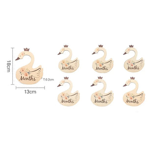 7Pcs Acrylic Closet Dividers - RYAN AND REMI