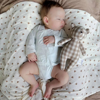 Mascot Stuffed Toy Animal - RYAN AND REMI