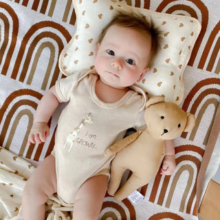 Mascot Stuffed Toy Animal - RYAN AND REMI