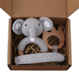 Pacifier Clip Teether Toy Set - RYAN AND REMI
