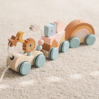 Wooden Montessori Dinosaur Wheel Toy - RYAN AND REMI