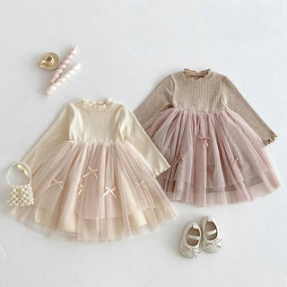 Long Sleeved Tulle Ribbon Dress