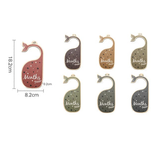 7Pcs Acrylic Closet Dividers - RYAN AND REMI