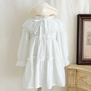 Lace Lapel Euro Style Dress - RYAN AND REMI