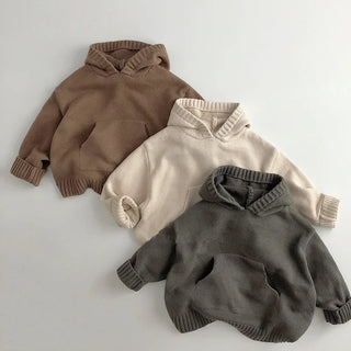 Pullover Loose Hooded  Sweater - RYAN AND REMI